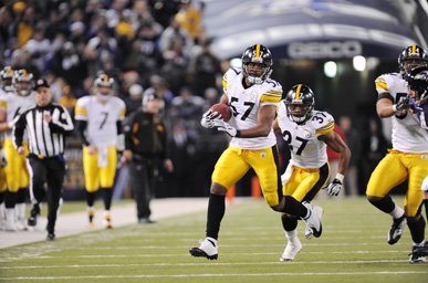 [08_BAL2_fox2_101112.JPG]