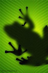 Green Leave Frog Shadow Mobile Wallpaper