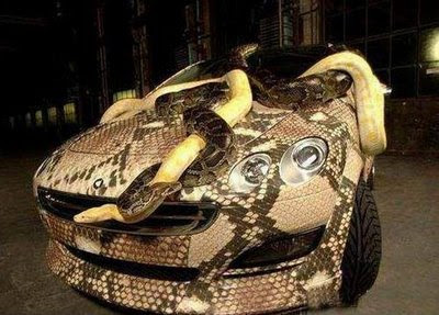 Snake Skin Car