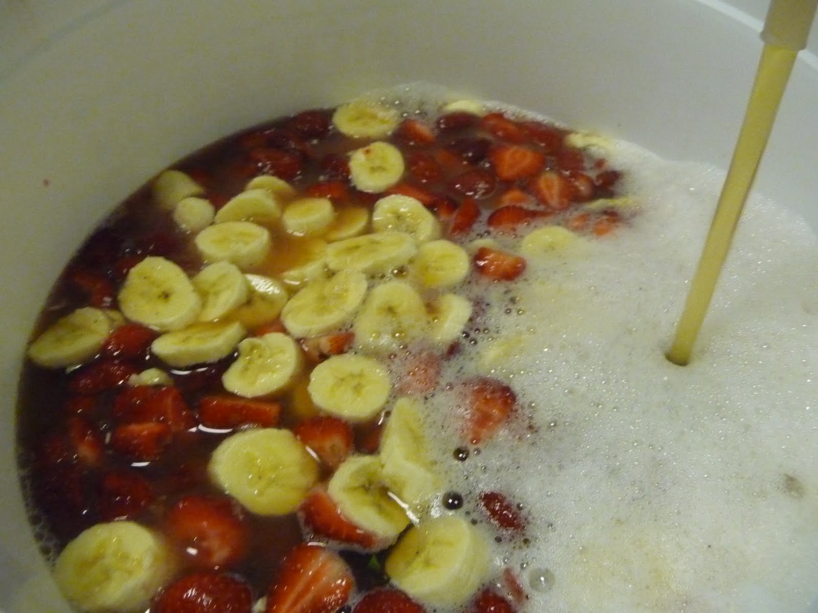 HopfenTreader Farm Fresh Series Strawberry Cream Ale