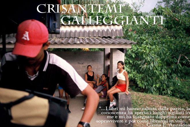 Crisantemi Galleggianti