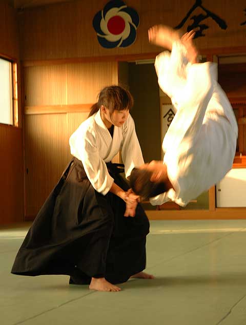 [first-press-tour-aikido.jpg]