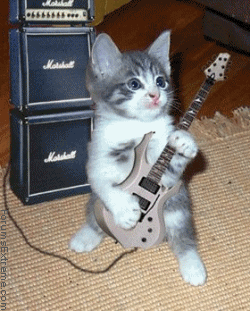 Even animals like to rock!! Puuf!