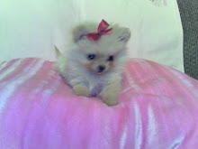 Baby Chloe
