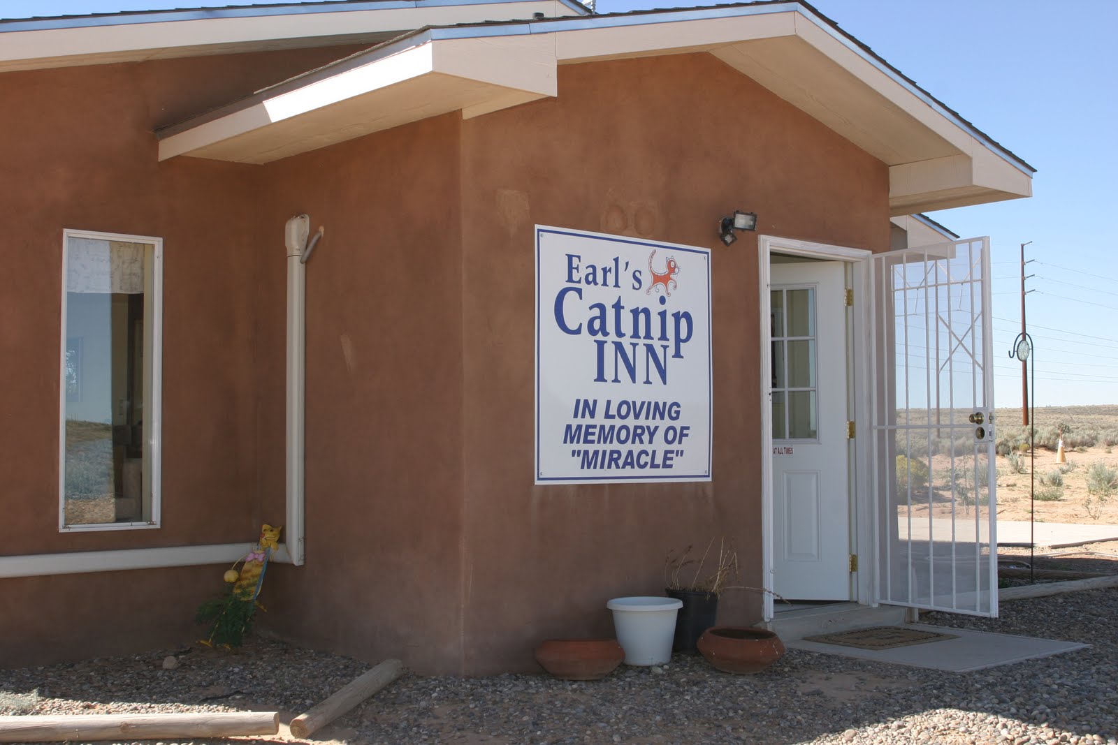 Travelin' Jack's Dog Blog Watermelon Mountain RanchAnimal Shelter