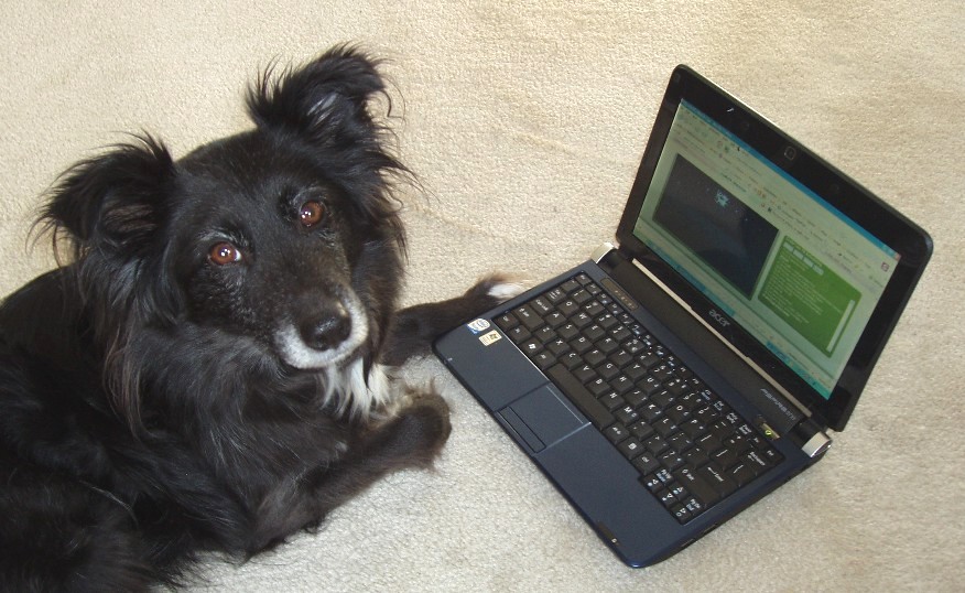 [JohannNetbook.JPG]