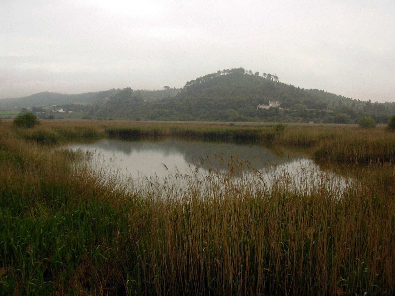[DSCN0060.JPG]