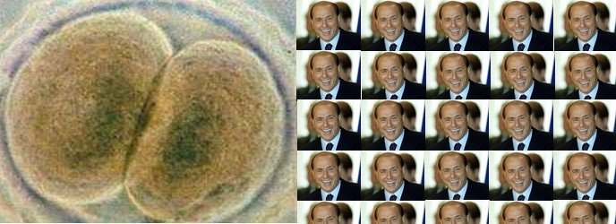 [Berlusconi+Embrioni.jpg]