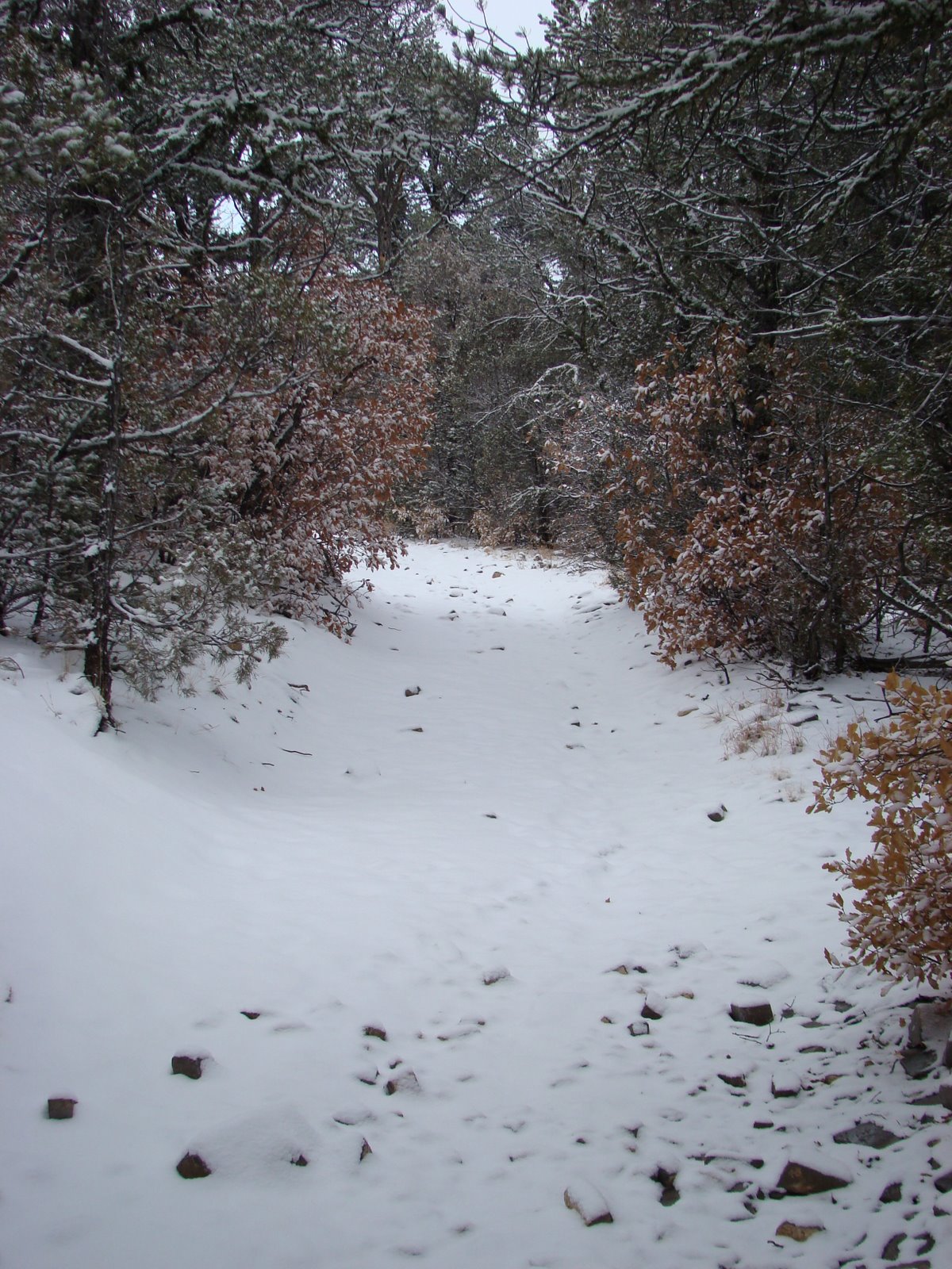 [DSC02541.JPG]