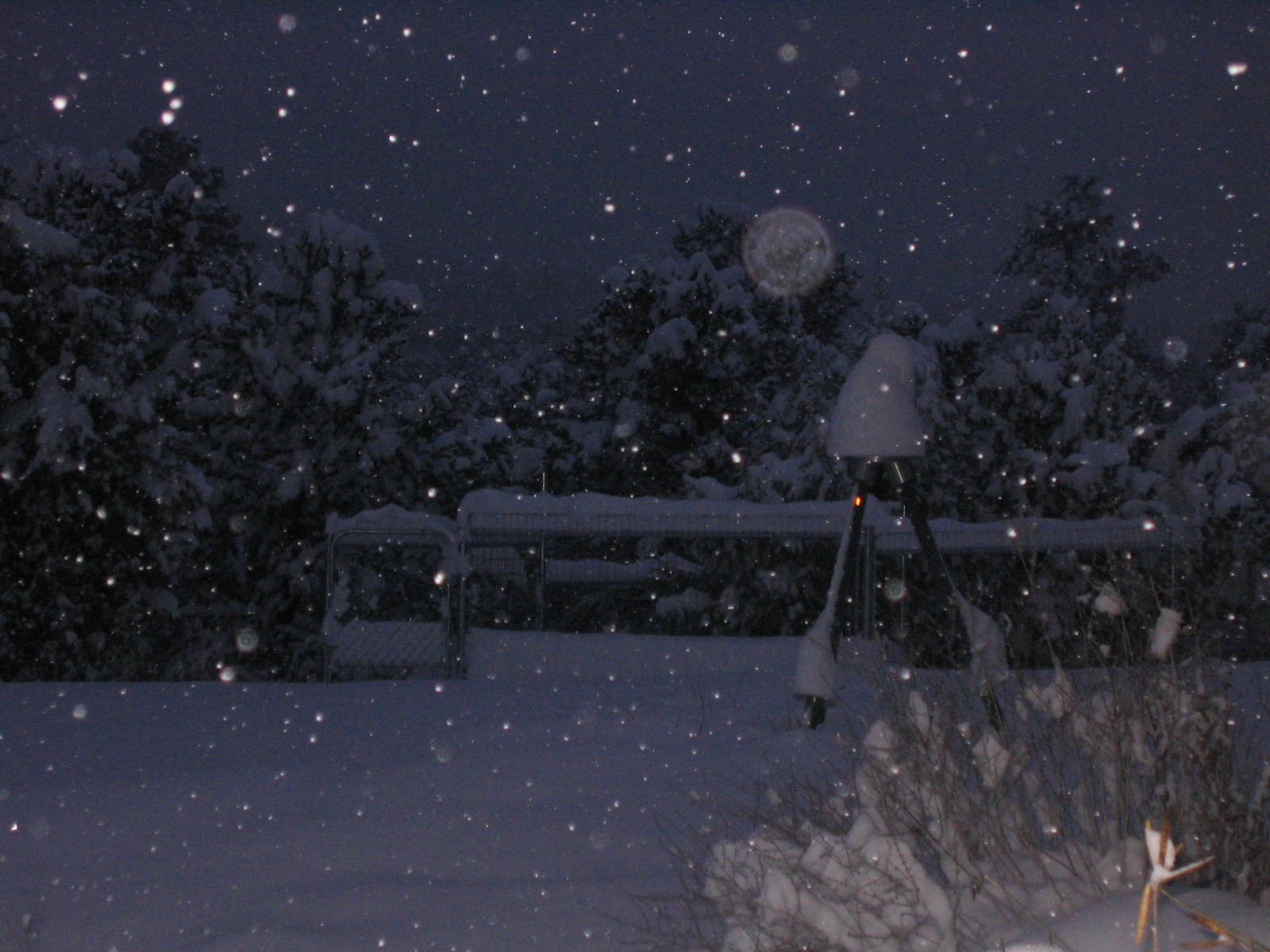 [Falling+Snow+II.JPG]