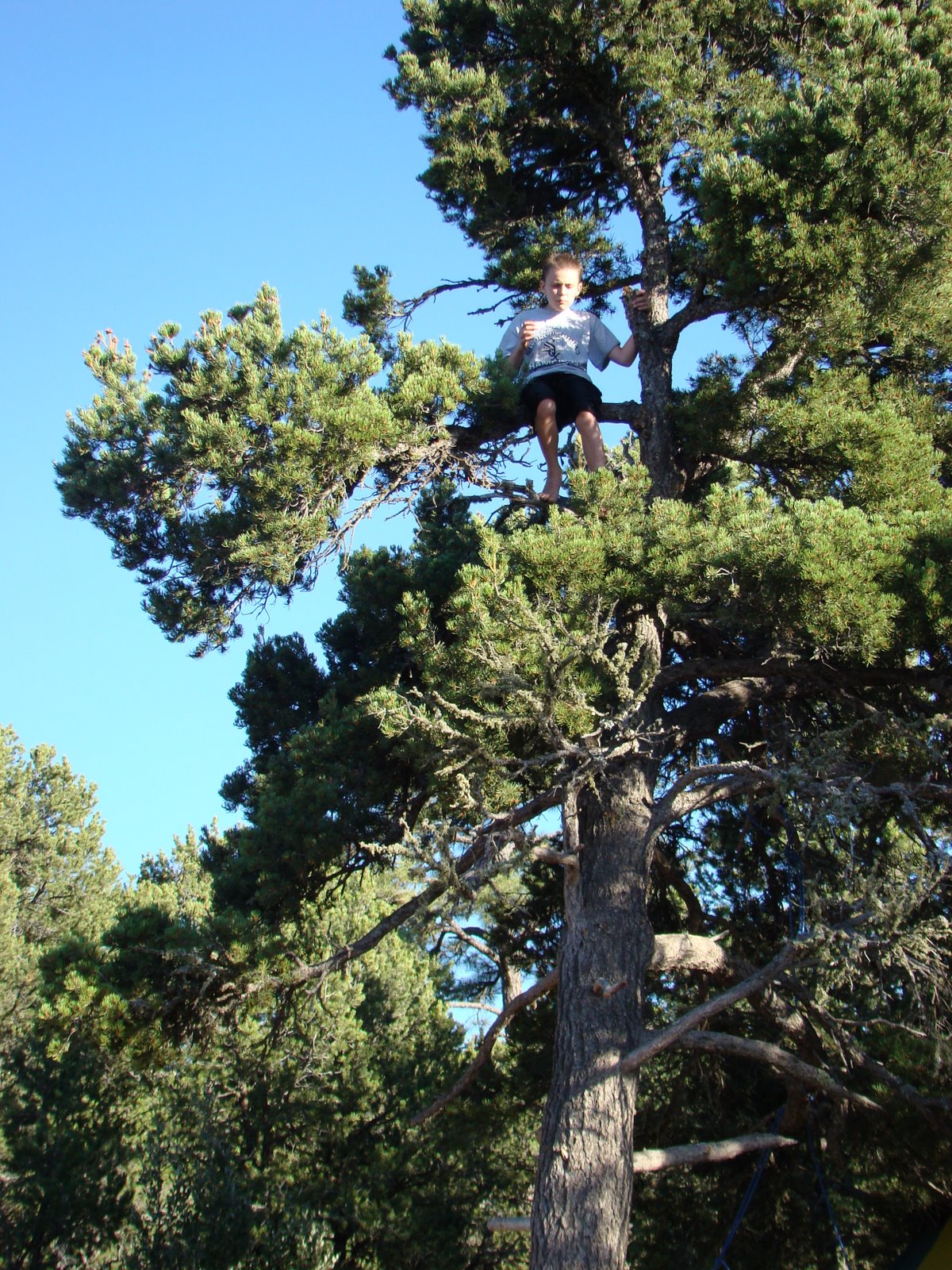 [DSC00853.JPG]