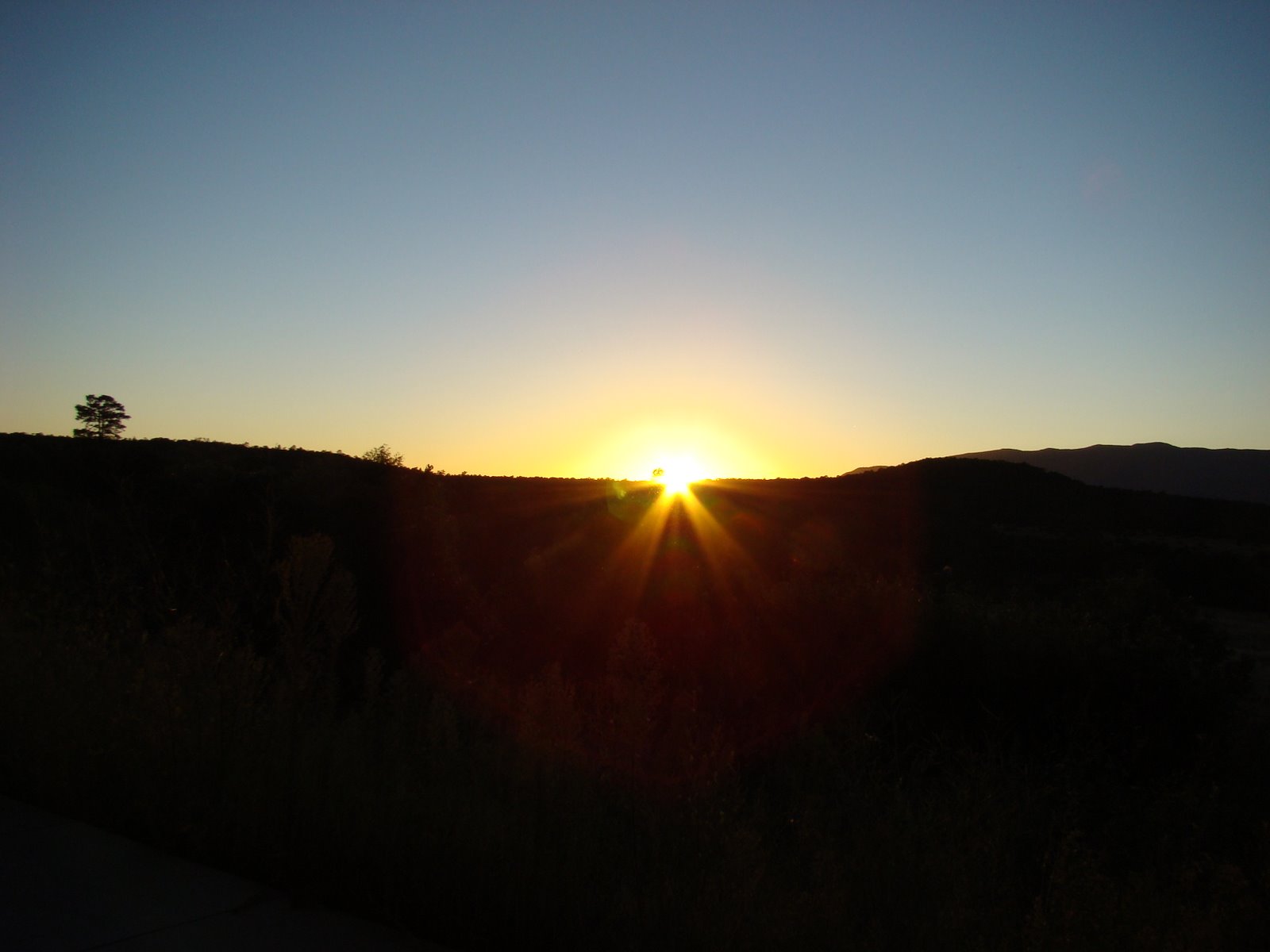 [DSC00940.JPG]