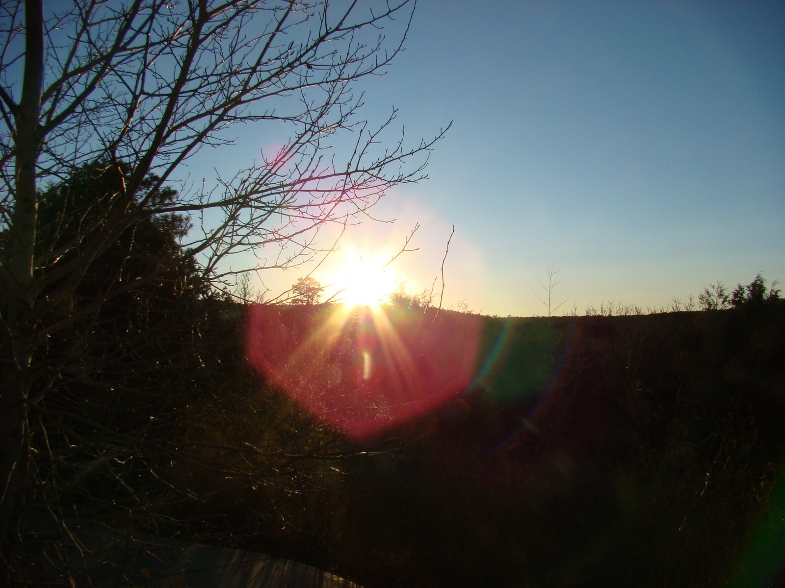 [DSC05017.JPG]