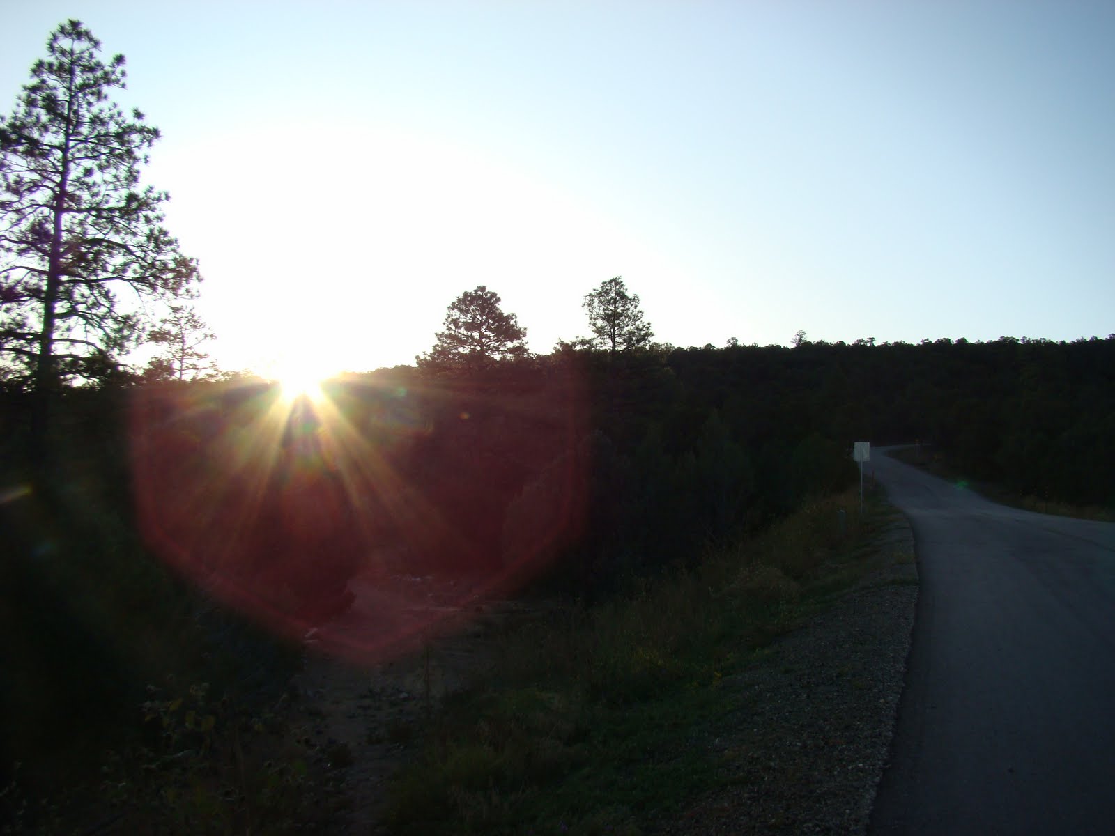 [DSC07231.JPG]