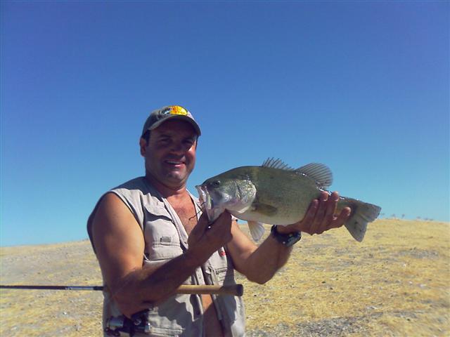 [IMAGE_180+(Small).jpg]