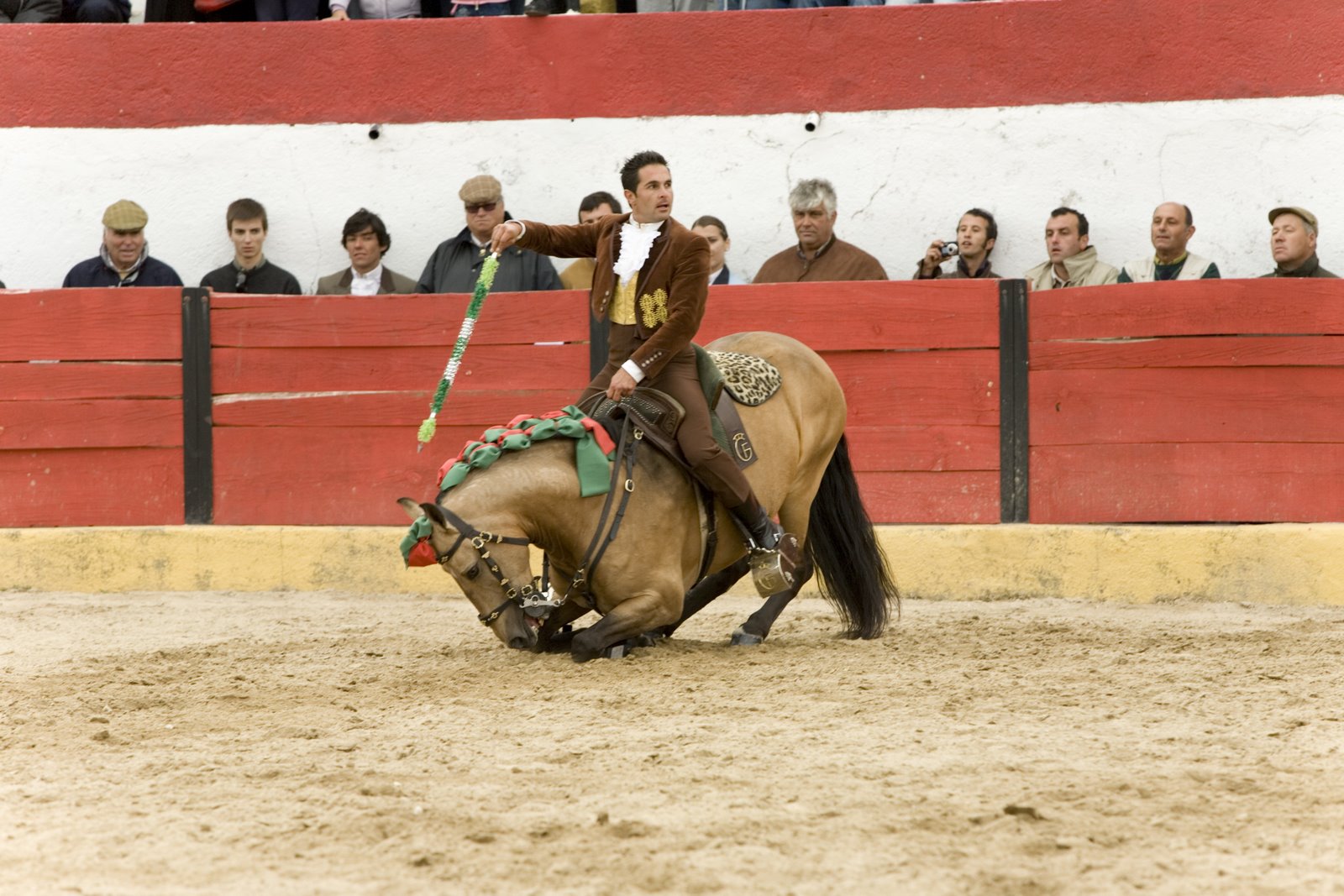 [IMG_6463.JPG]