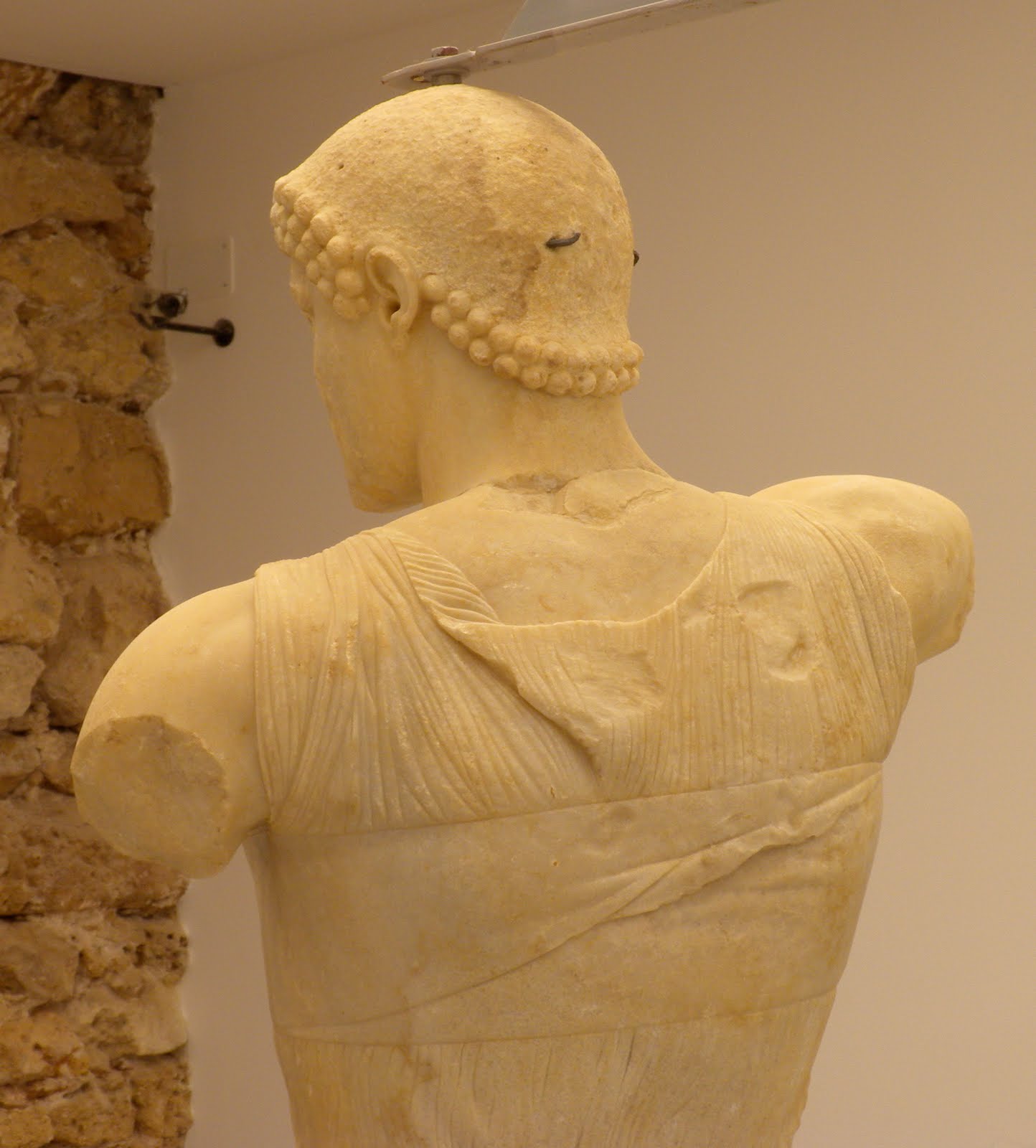 AMOROMA Giovane di Mozia