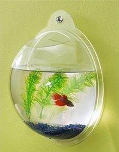 hanging fish bowl hanging fish bowl