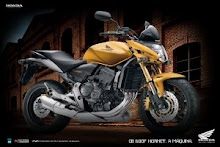 CB 600F Hornet 2009