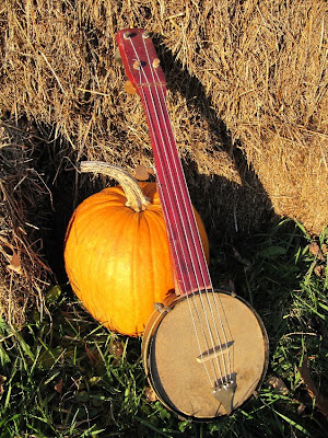 Fretless Banjo