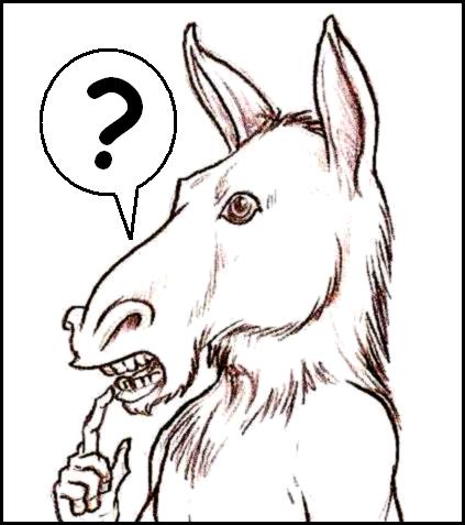 [burro.jpg]