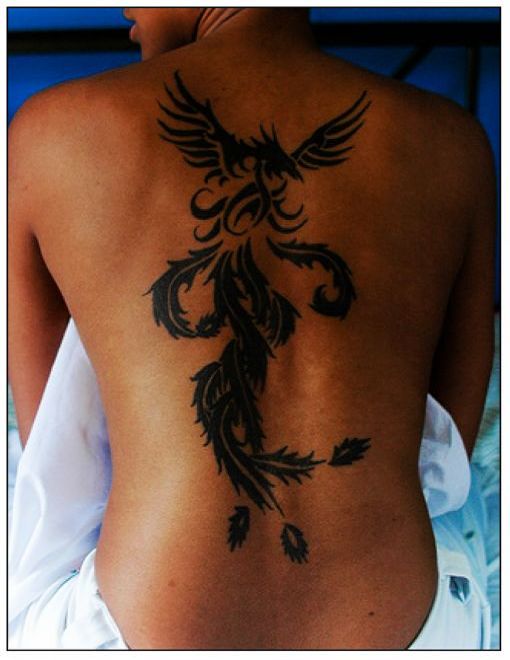 My_new_skull dragon tattoo back_tattoo_my_love 3 My_new_skull dragon tattoo back_tattoo_my_love 3