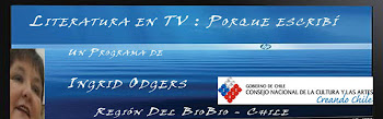 Programa de Literatura en TV