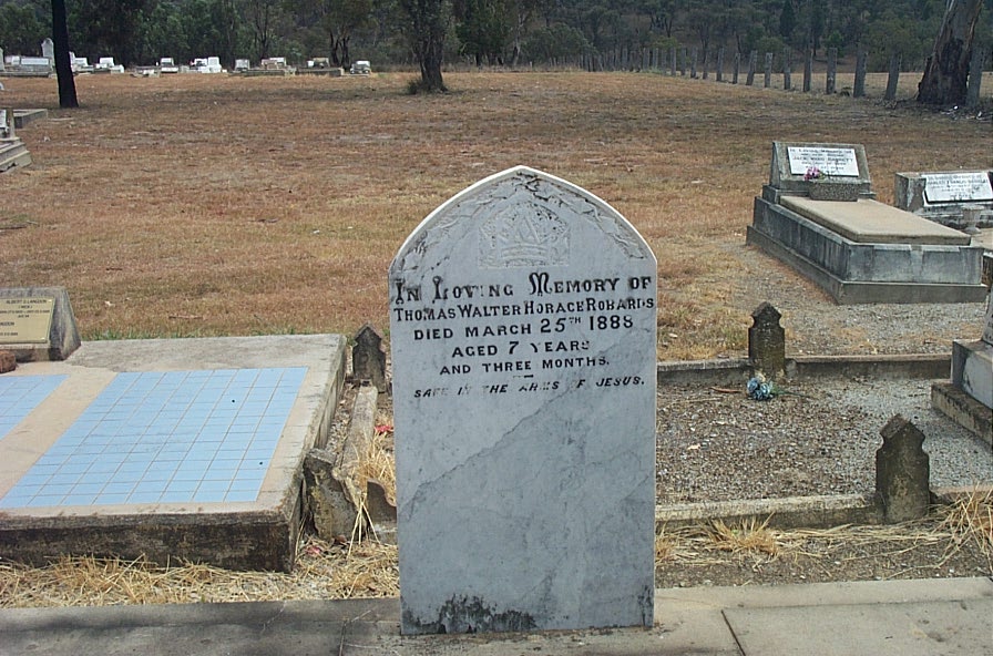 [DCP_6468.JPG]