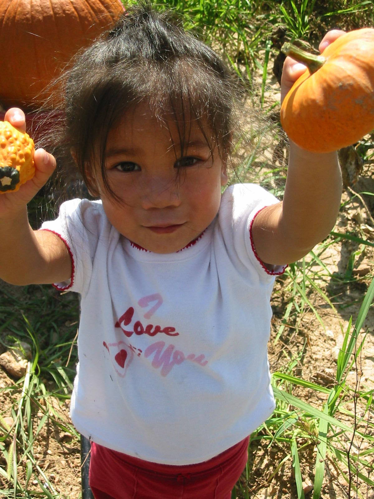 [IMG_3908.JPG]