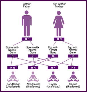 dominant traits list dominant traits list