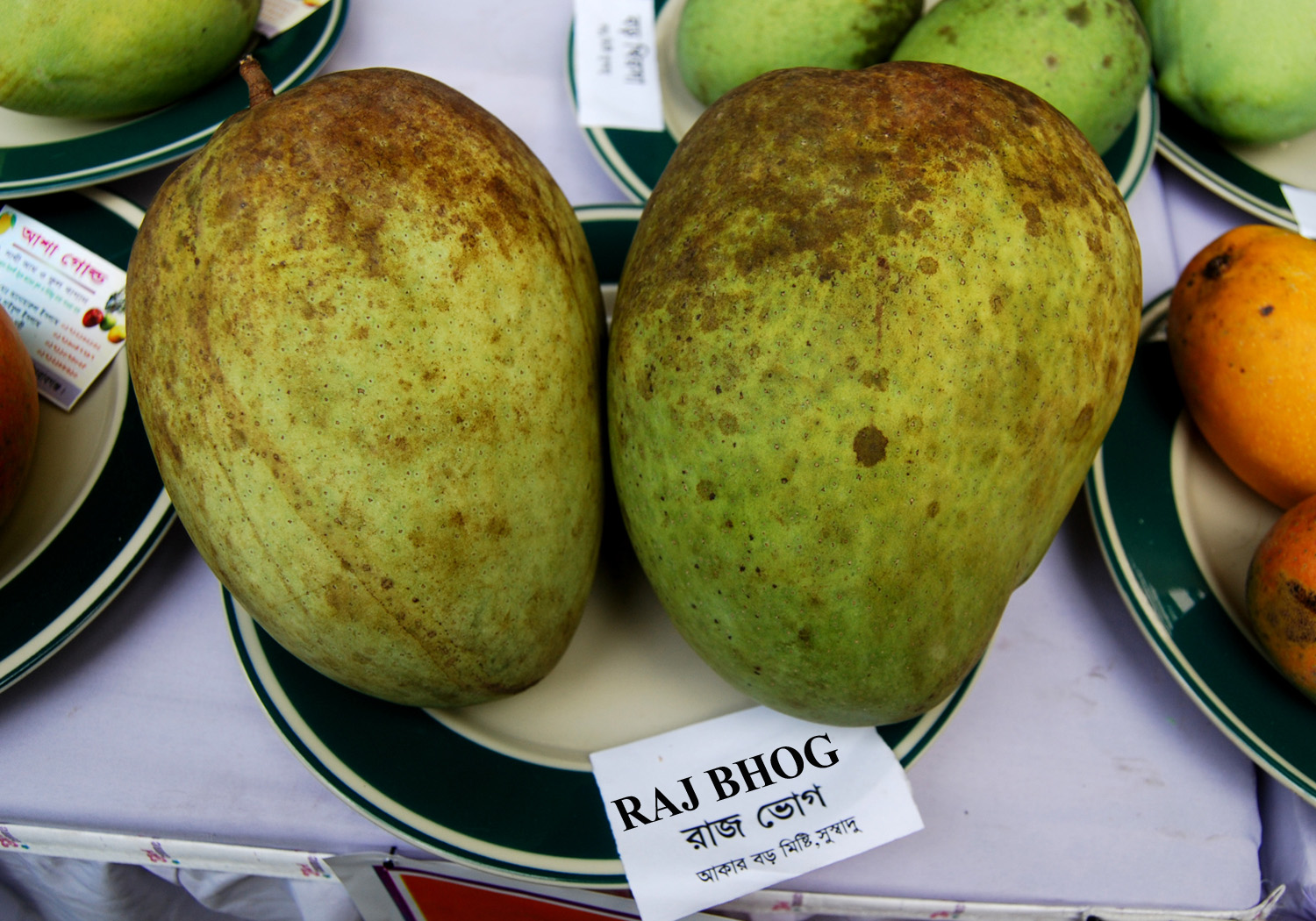 Owners manual dsc neo pdf download pc