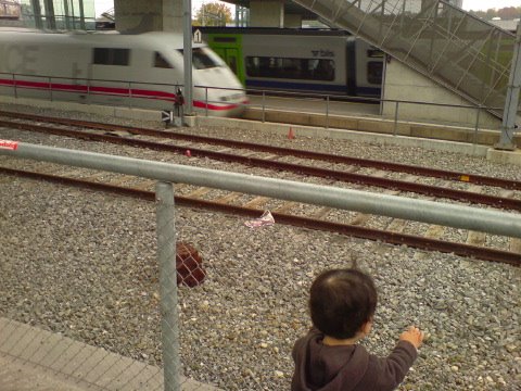 [DSC02907.JPG]