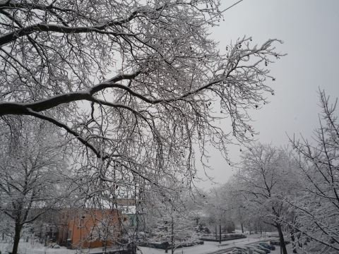 [P1050108.JPG]