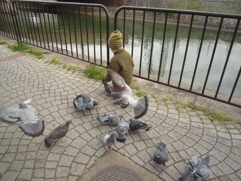 [P1060084.JPG]