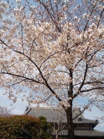 [P1060351.JPG]