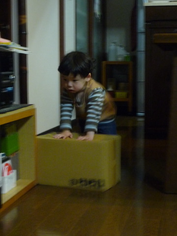 [P1060399.JPG]