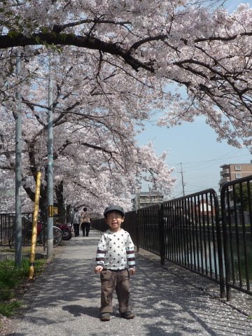 [P1060519.JPG]