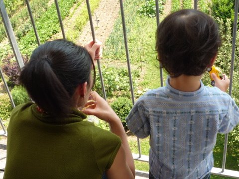 [P1080002.JPG]