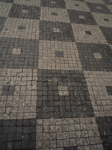 [P1100072.JPG]