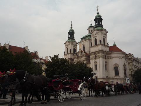 [P1100187.JPG]