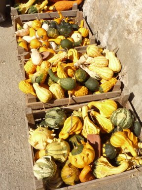 [P1100686.JPG]