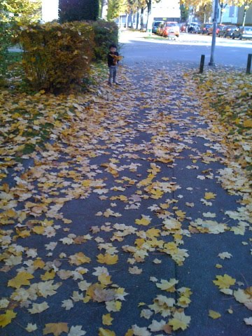 [IMG_1418.JPG]