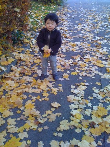 [IMG_1423.JPG]