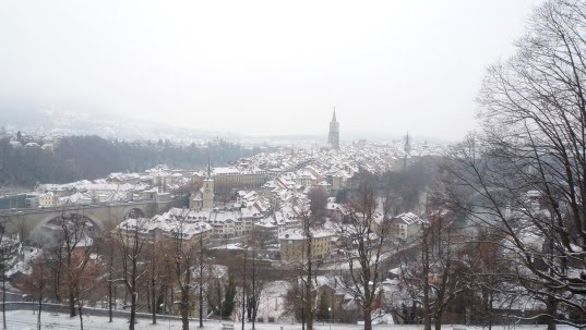 [P1110549.JPG]