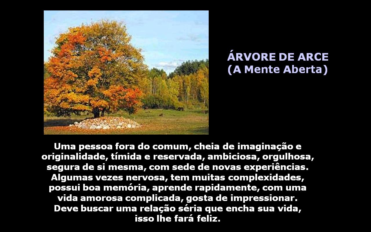 [arvore.JPG]