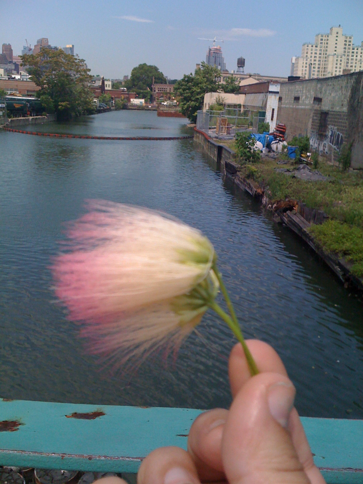 [IMG_0279.JPG]