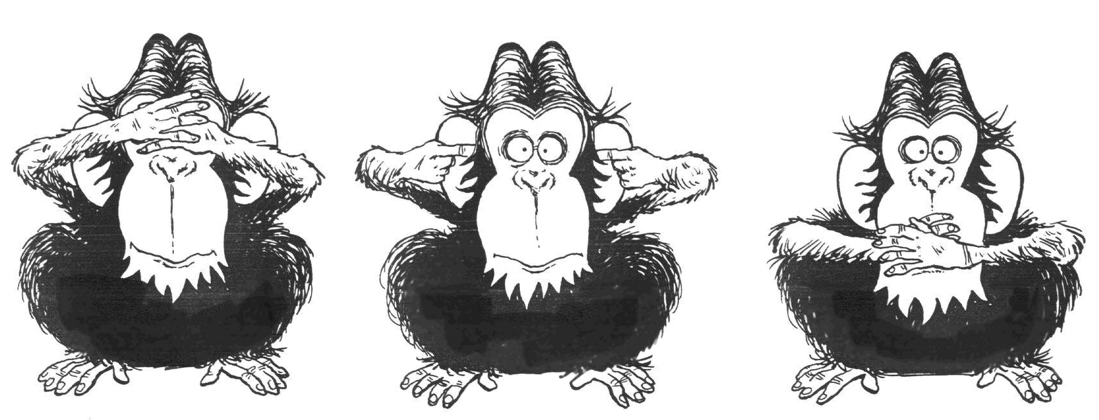 [monkey-4.gif]
