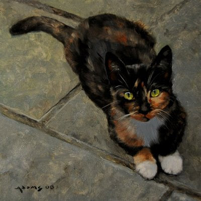 A Calico Kitten