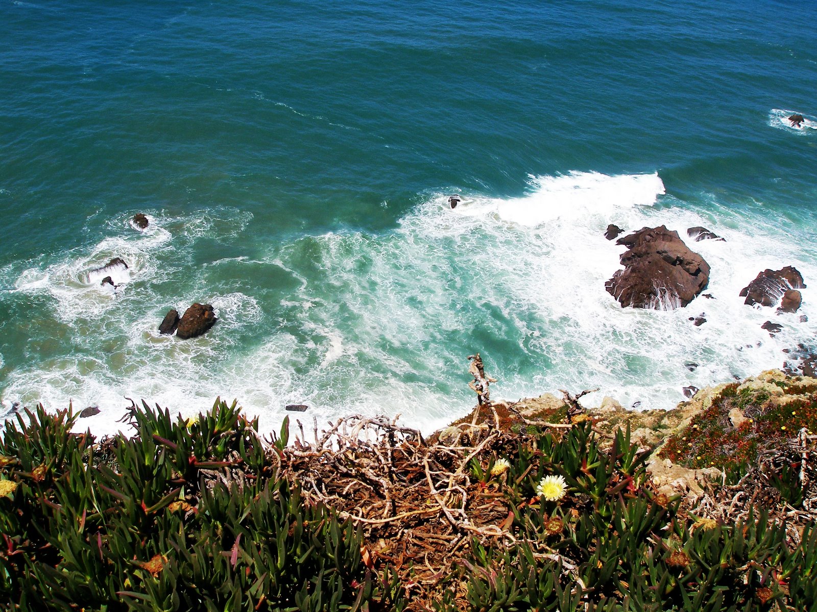 [P5022928.JPG]