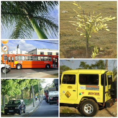 maurice maeterlinck reviews maurice maeterlinck reviews